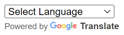 Google Translate vertical layout